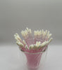 Fluwelen applicators