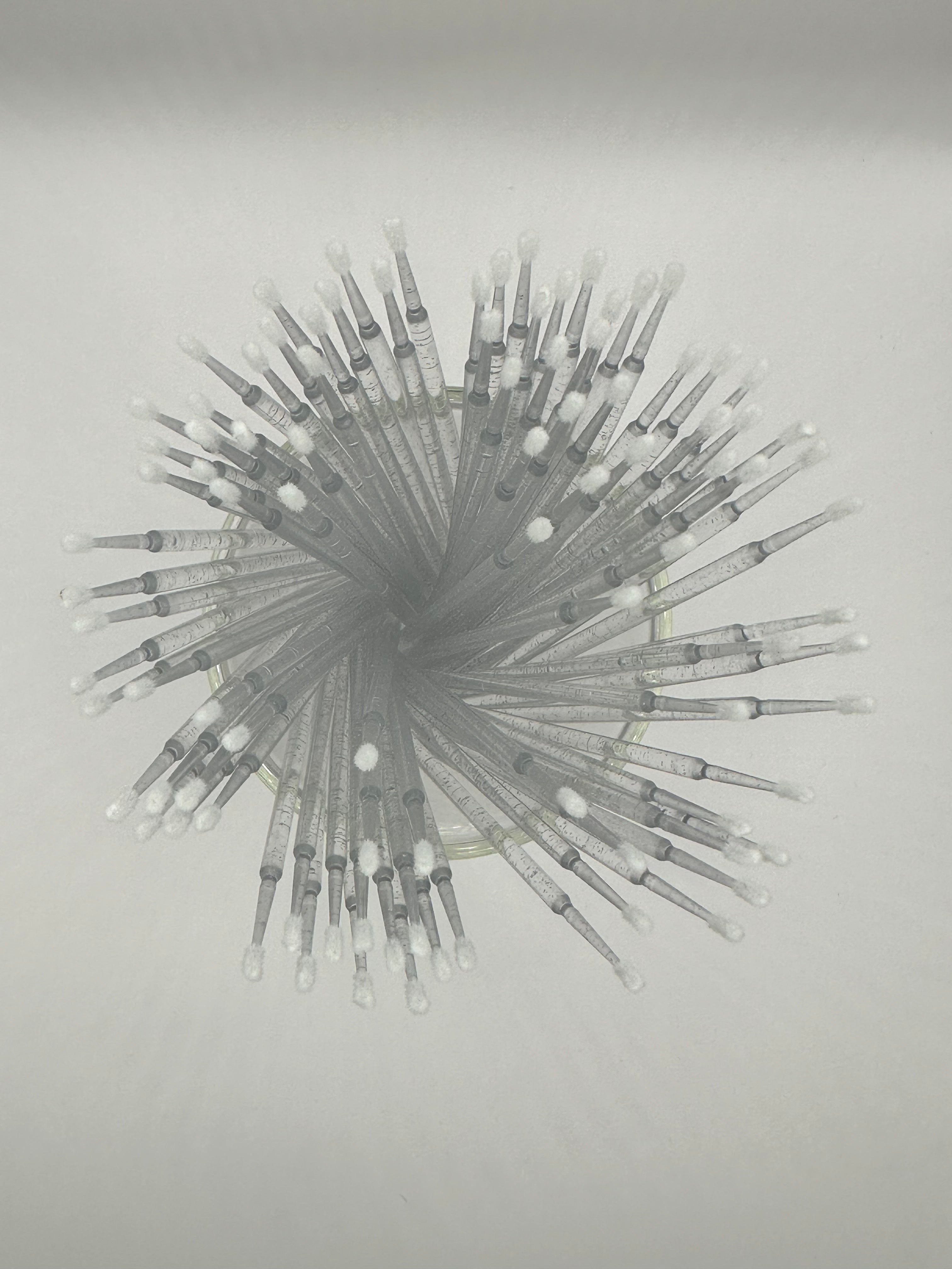 Microbrushes regular