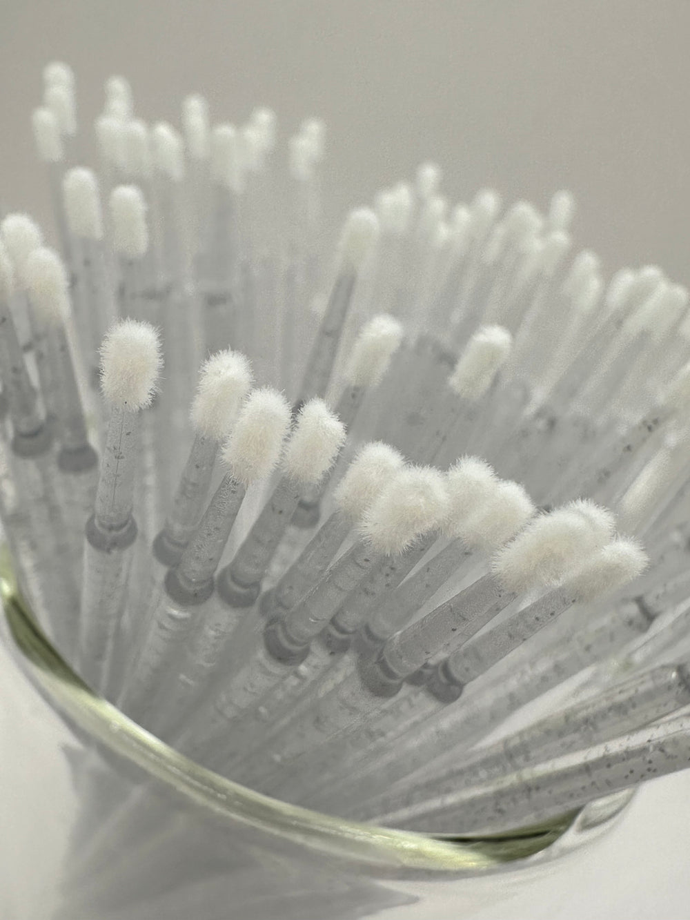 Microbrushes regular