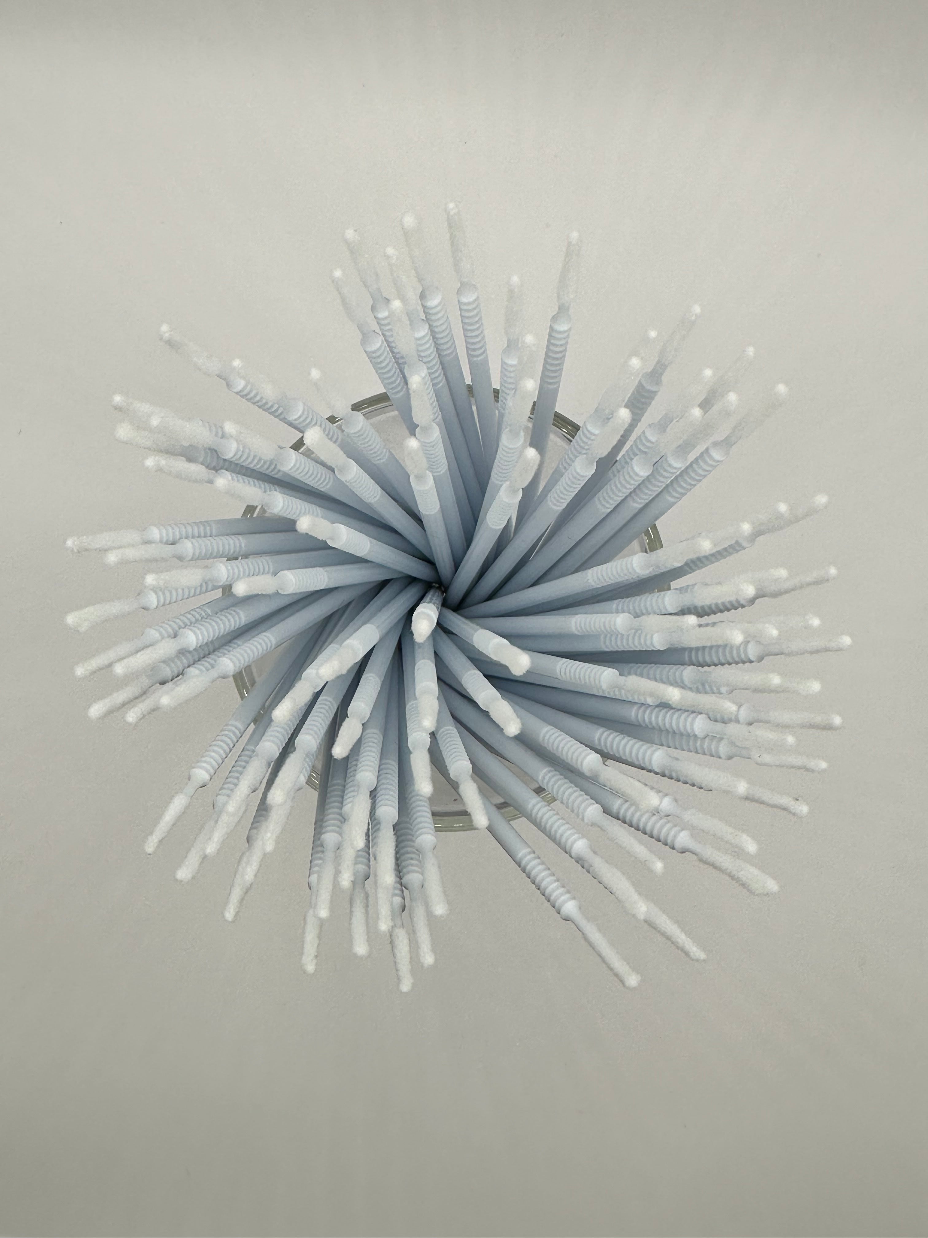 Cylinder Microbrushes