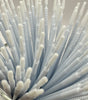 Cylinder Microbrushes
